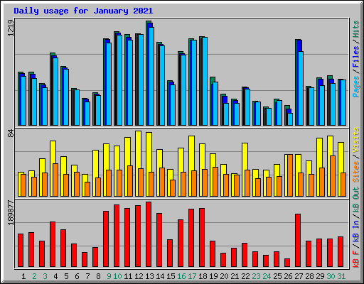 Daily usage for January 2021