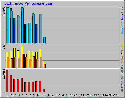 Daily usage for January 2026