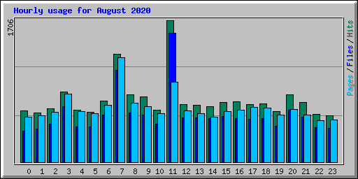 Hourly usage for August 2020