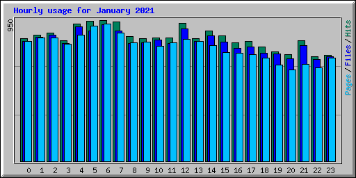 Hourly usage for January 2021