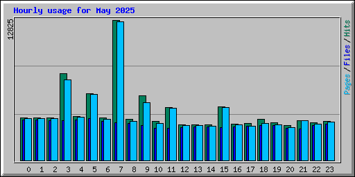 Hourly usage for May 2025