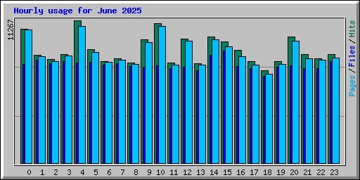 Hourly usage for June 2025