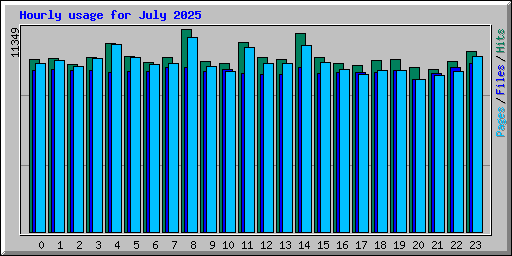 Hourly usage for July 2025