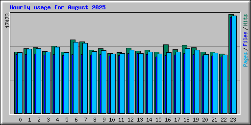 Hourly usage for August 2025