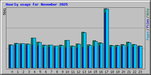 Hourly usage for November 2025