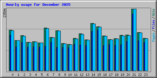 Hourly usage for December 2025
