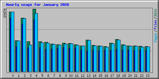 Hourly usage for January 2026